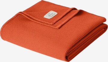 Cradle Studio Blankets in Orange