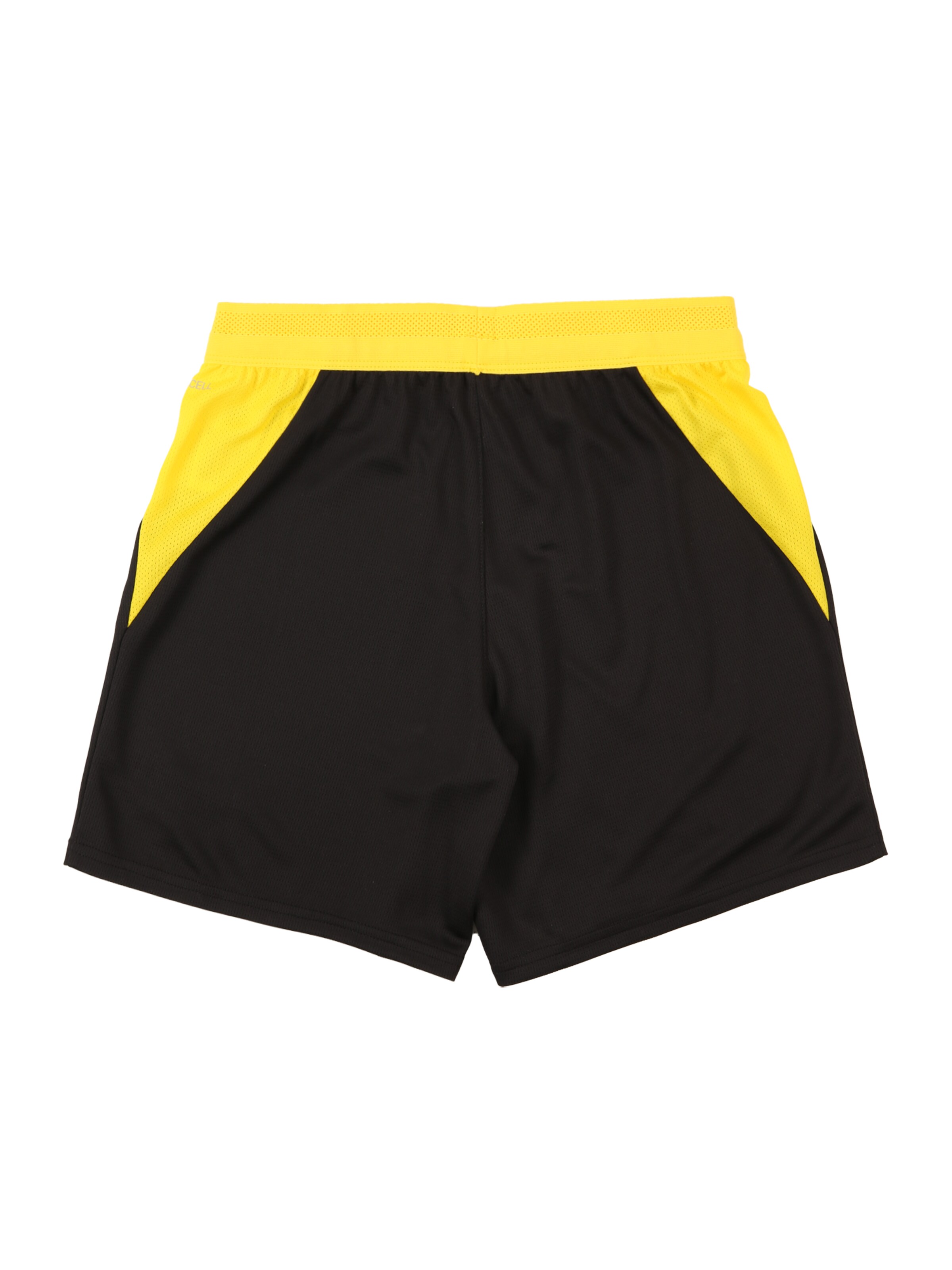 PUMA regular Παντελόνι φόρμας 'Borussia Dortmund' σε μαύρο