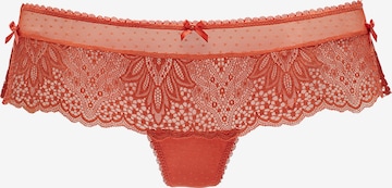 VIVANCE - Cueca em laranja: frente