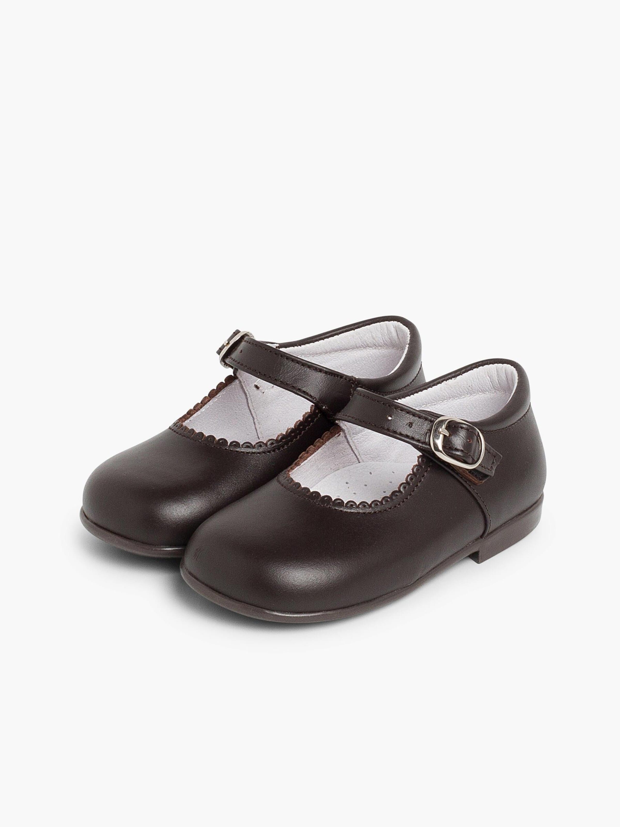Pisamonas Polobotky – hnědá