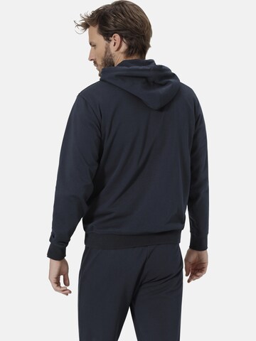Sweat-shirt ' Florezonto ' BABISTA en bleu