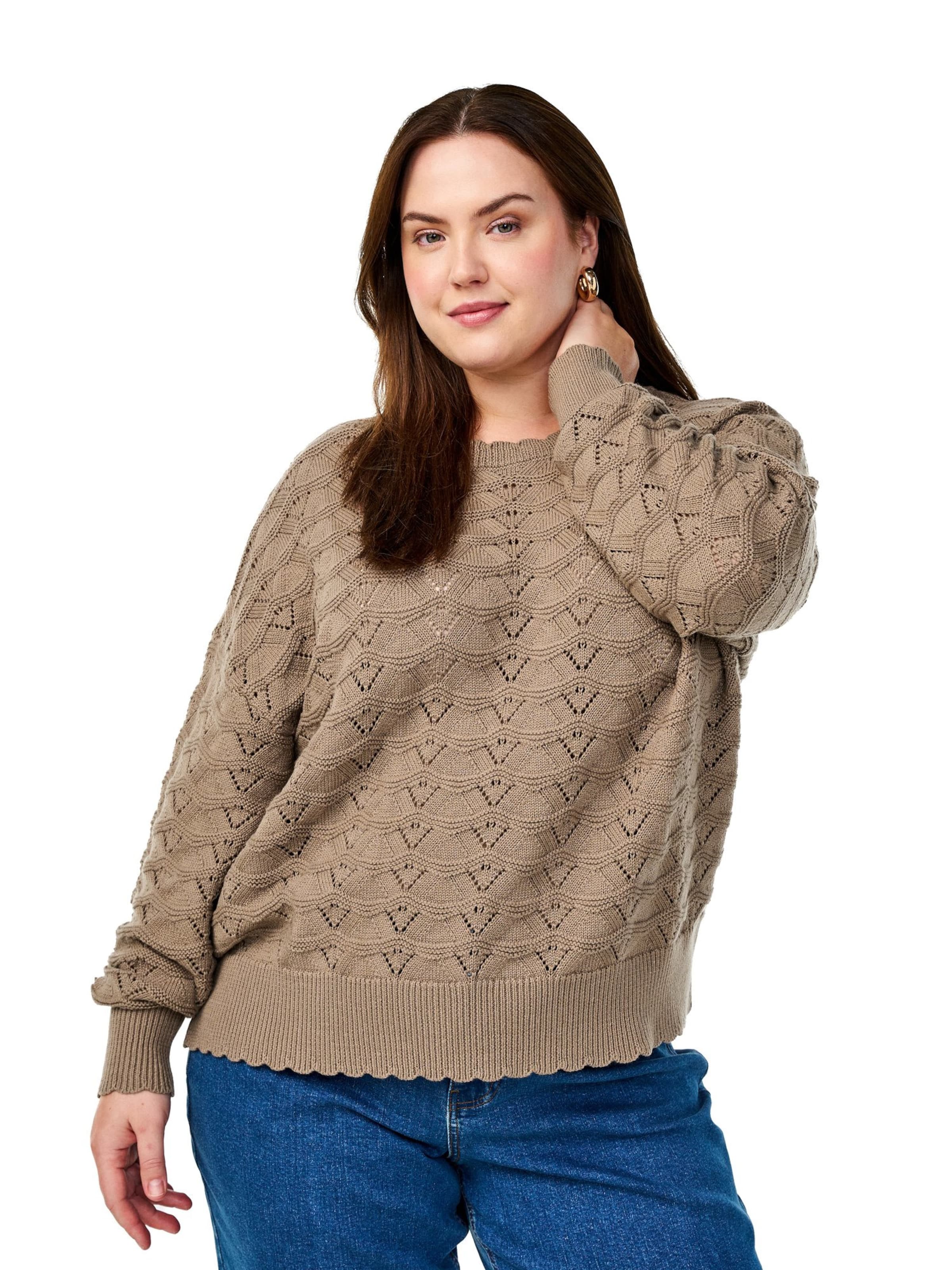 Zizzi Sweater 'CAEMMI' in Grey: front