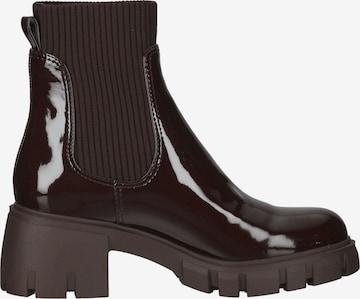 Chelsea Boots STEVE MADDEN en marron