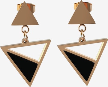 Akzent Earrings 'Consuelo, hautverträglich' in Gold: front