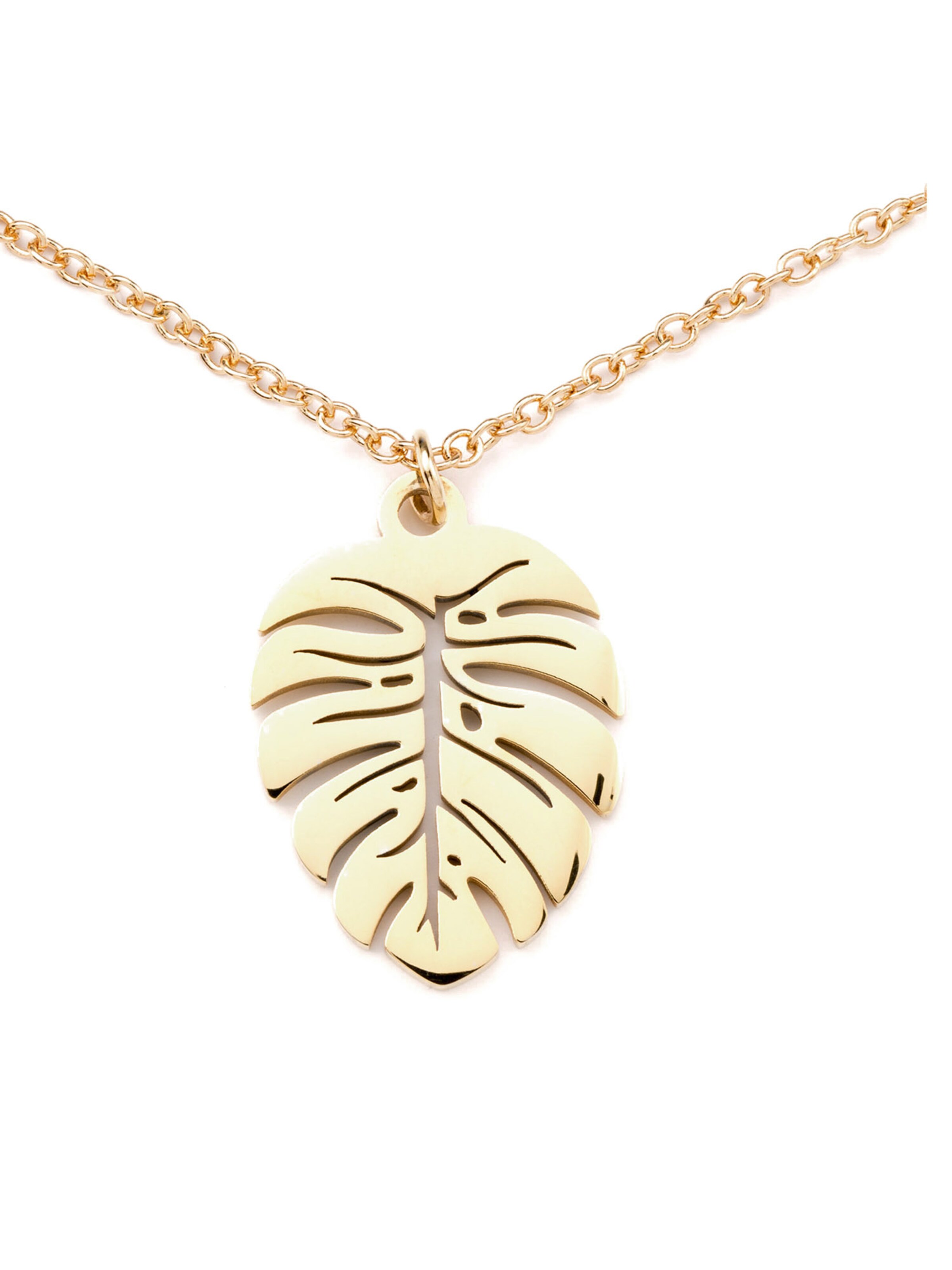 Chaîne 'Folium' Heideman en or : devant