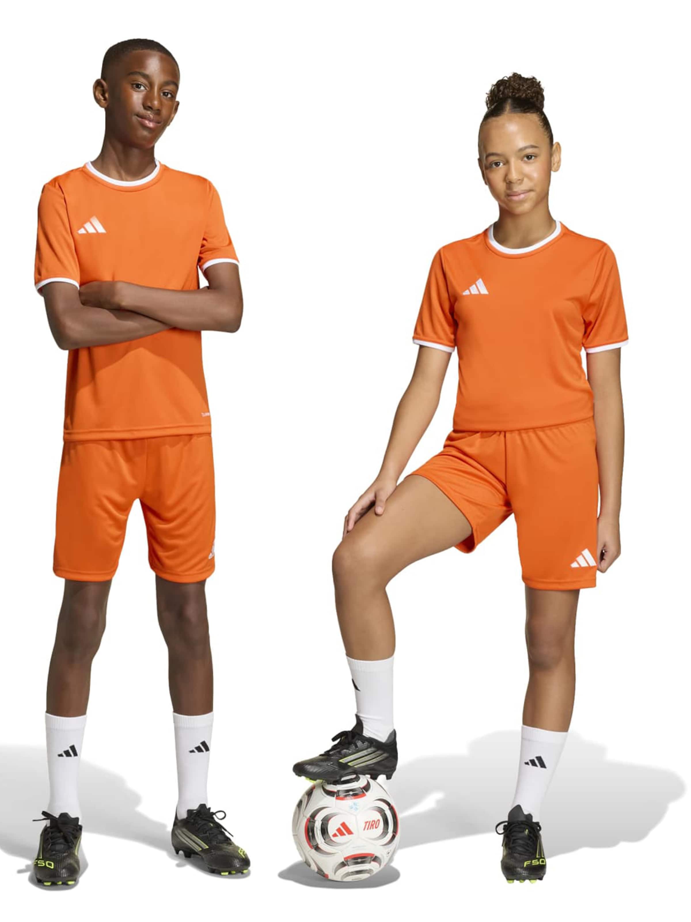 ADIDAS PERFORMANCE regular Παντελόνι φόρμας 'ENT26' σε πορτοκαλί