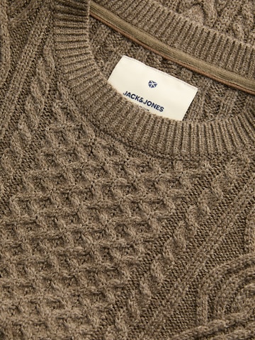 JACK & JONES Trui 'JPRBLUSEAN' in Bruin