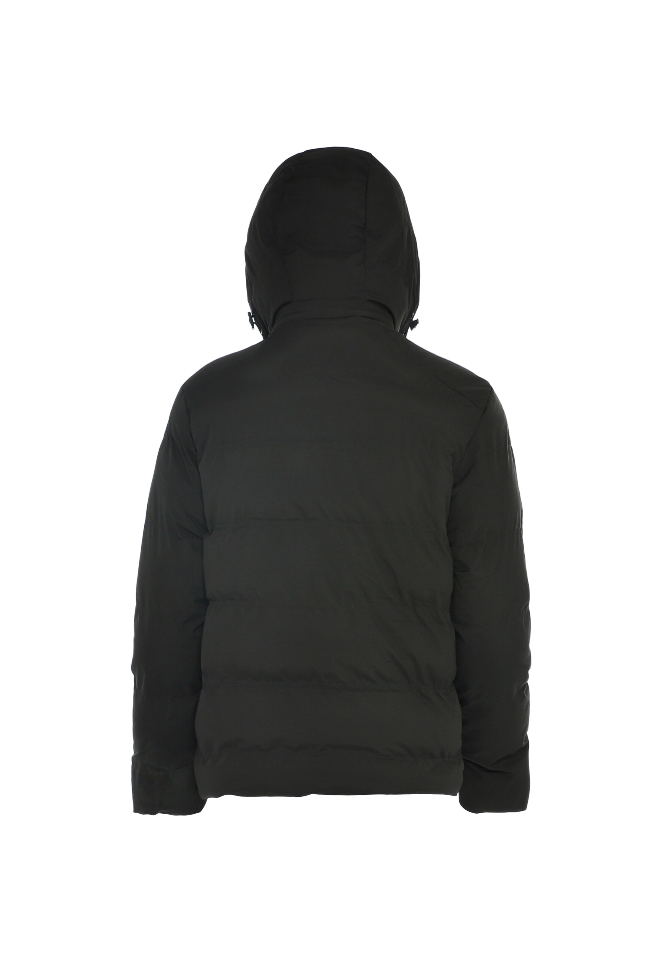 BRAELYN Winterjas in Groen