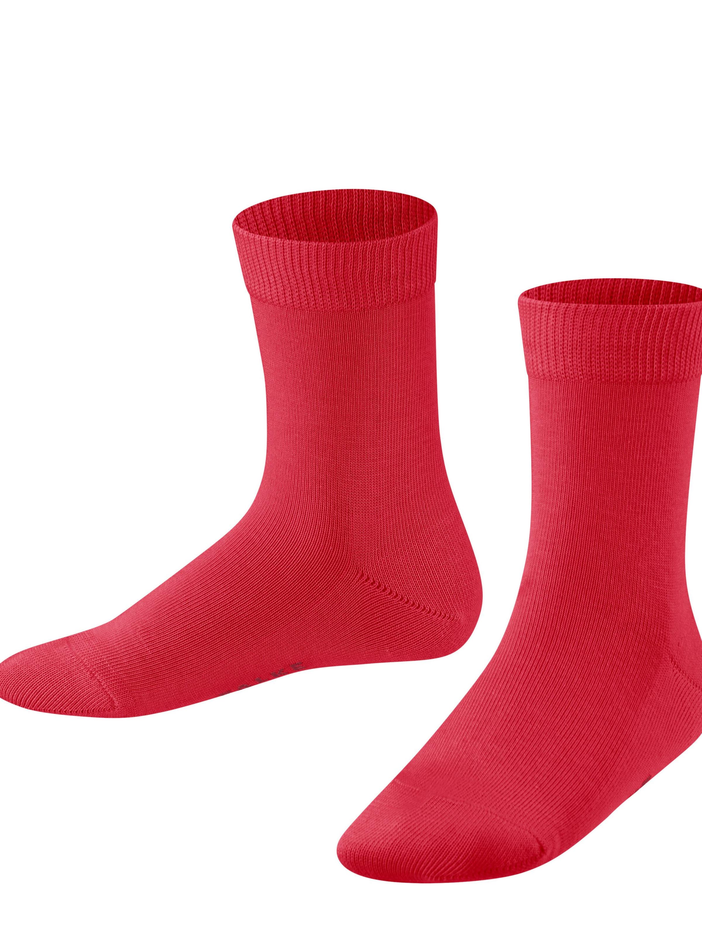 FALKE Socks 'Family' in Red: front