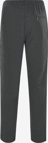 Effilé Pantalon HAJO en gris