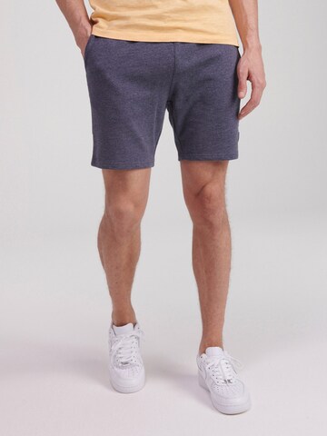 Regular Pantalon Shiwi en gris : devant