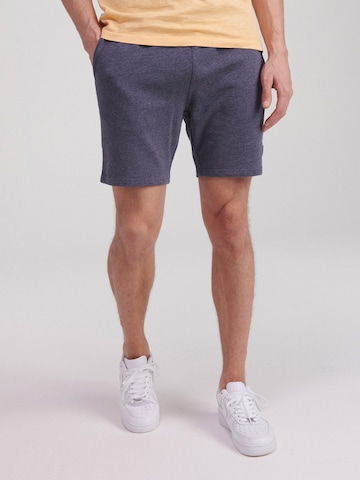 Shiwi Regular Pants in Grey: front