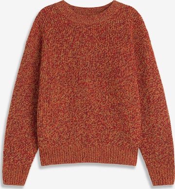 Thinking MU - Pullover ' Santos' em castanho: frente