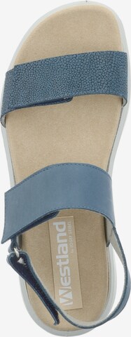 Westland Sandals 'BORNEO' in Blue