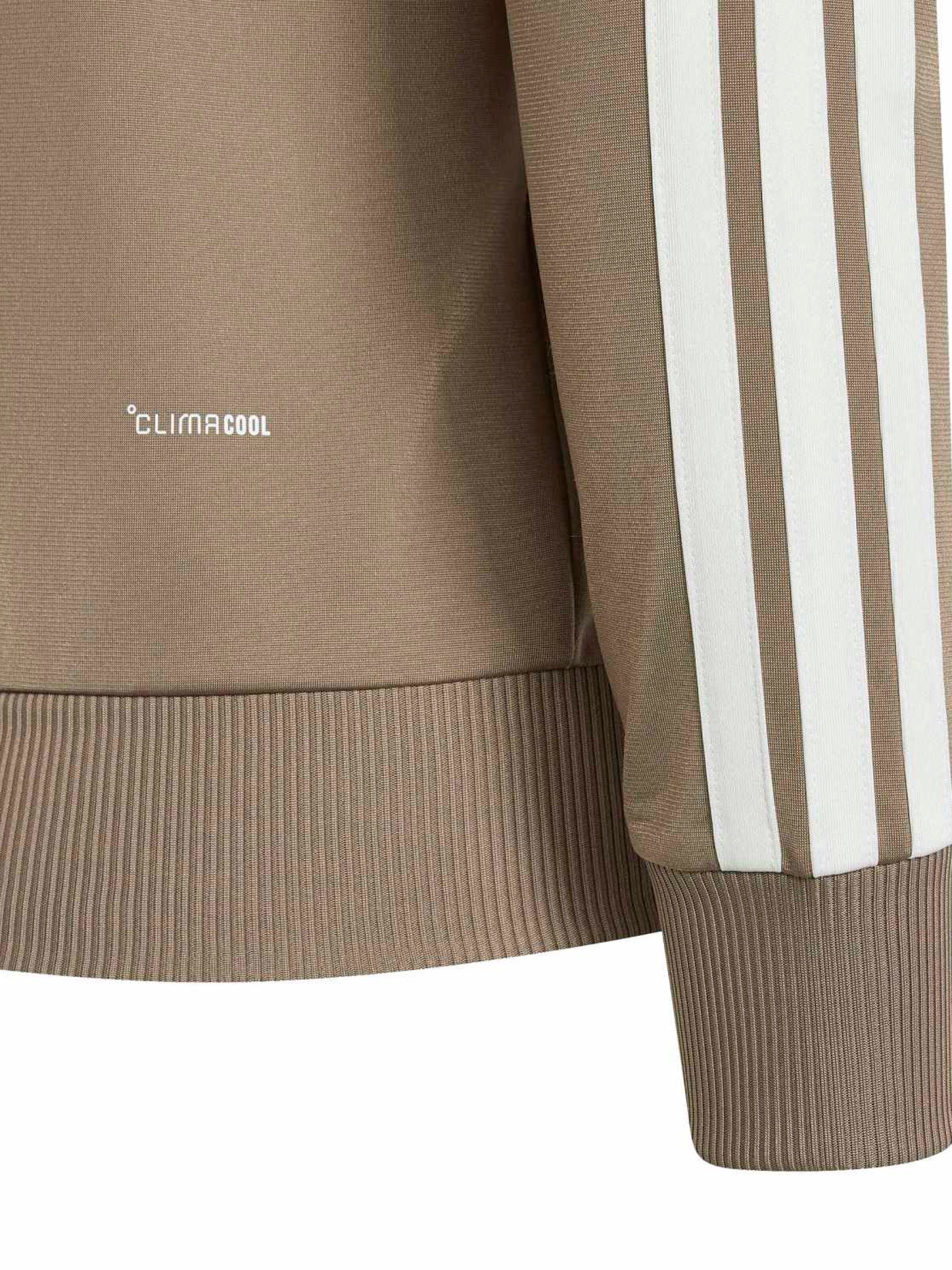 Survêtement 'Seasonal Essentials Tiberio' ADIDAS SPORTSWEAR en vert
