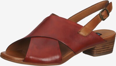Everybody Sandalen in braun / bordeaux, Produktansicht