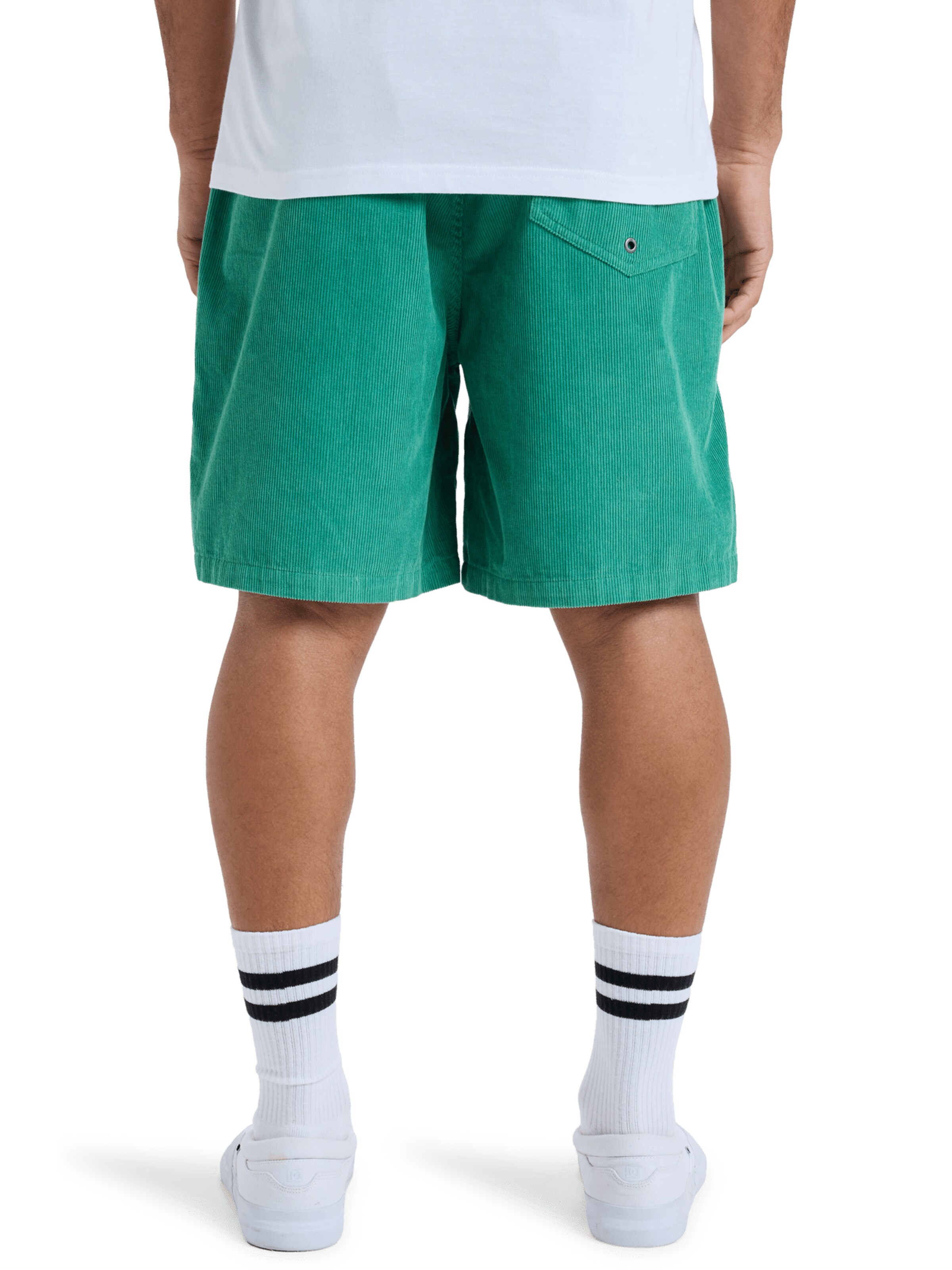 Regular Pantalon 'Taxer 18' QUIKSILVER en vert