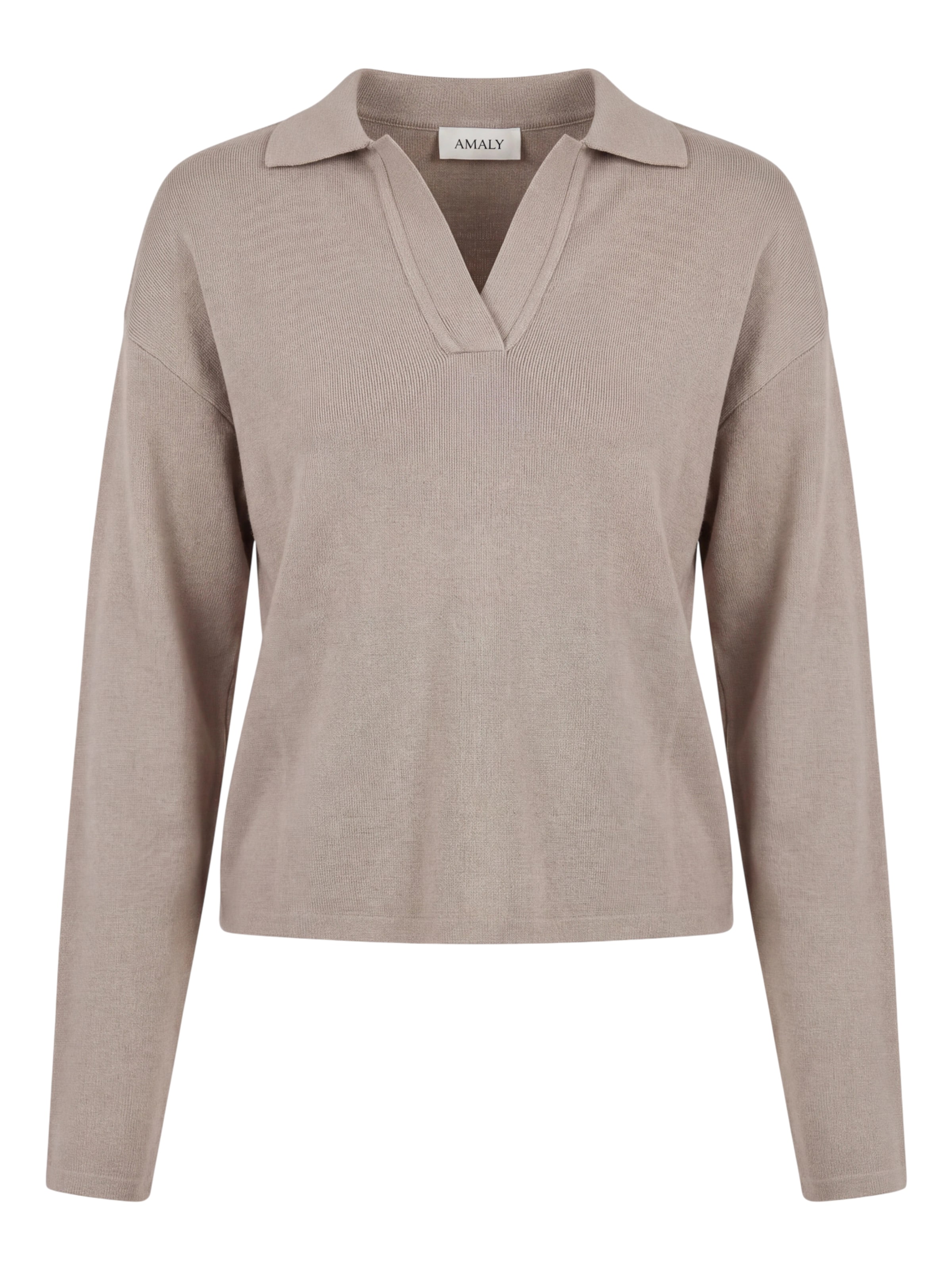 AMALY Sweater in Beige: front