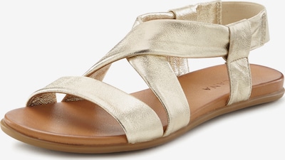 Sandalai iš LASCANA, spalva – ruda / Auksas, Prekių apžvalga