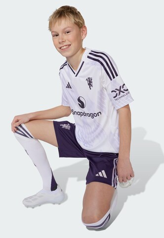 ADIDAS PERFORMANCE Regular Sportbroek 'Manchester United 25/26' in Lila