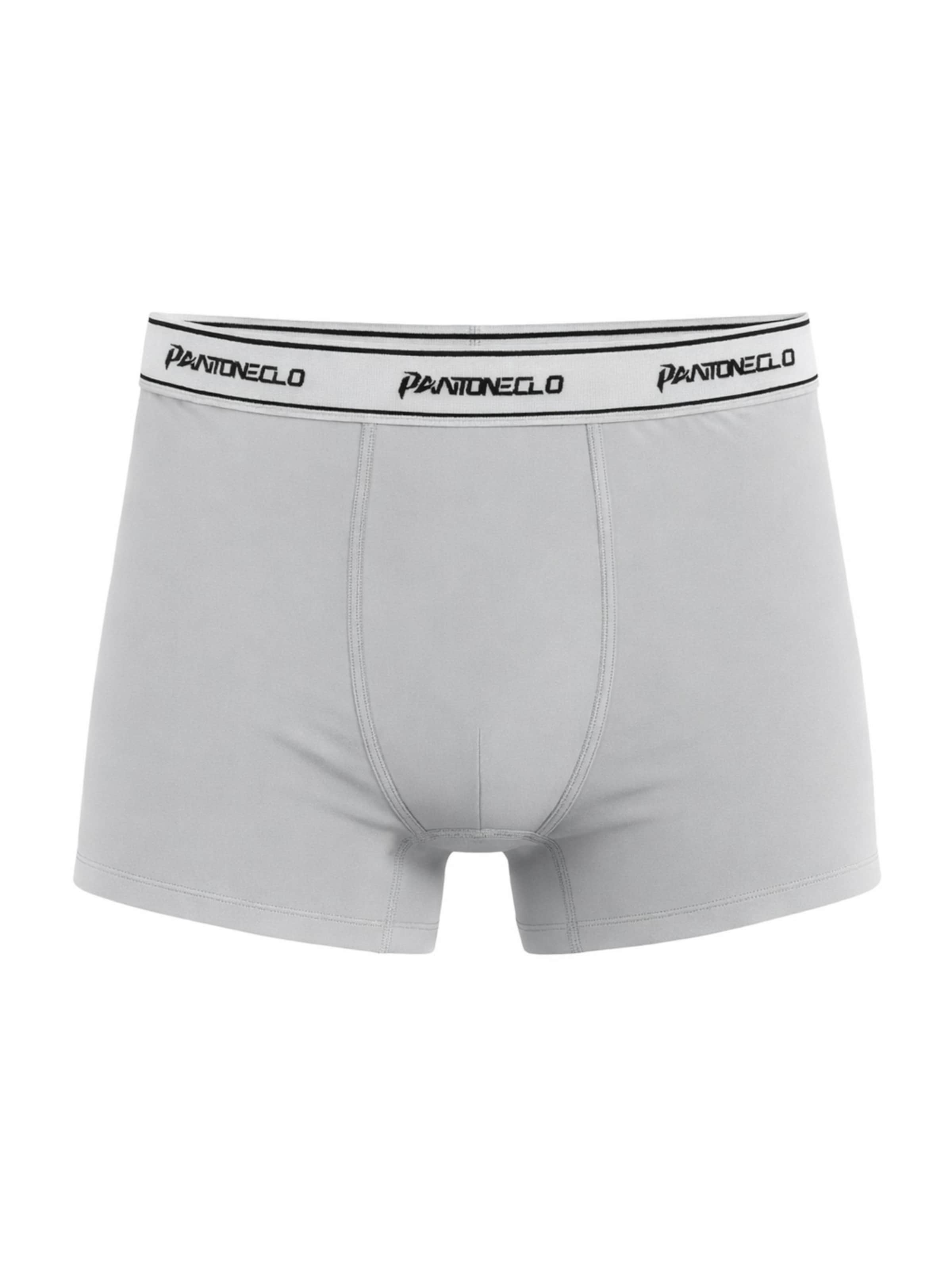 PANTONECLO Boxershorts 'Pantoneclo Men’s Boxer Underwear'‌‌‌ in Grau: Vorderseite