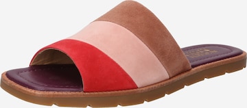 SCOTCH & SODA Mules 'TILDA' in Mixed colors: front