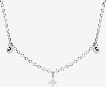 P D PAOLA Necklace in Silver