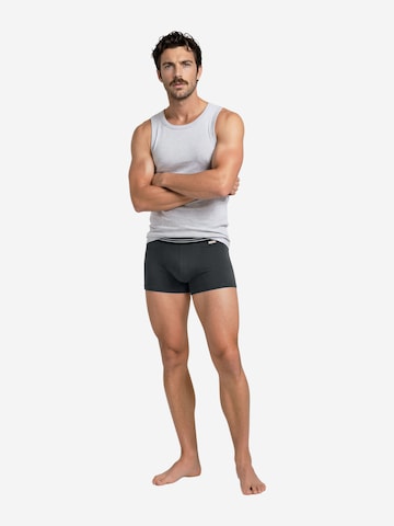 Boxers ' Cotton Stretch ' Nur Die en gris