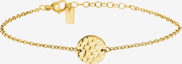 Steelwear Bracelet 'Santa Monica' in Gold: front