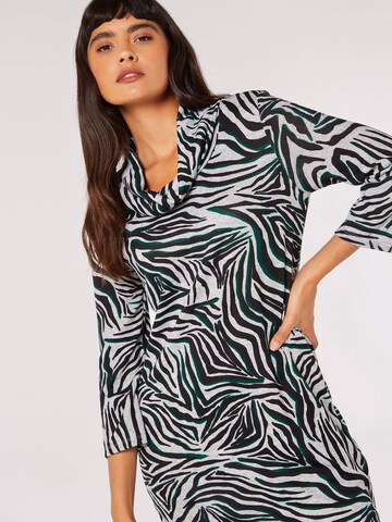 Robe Apricot en gris