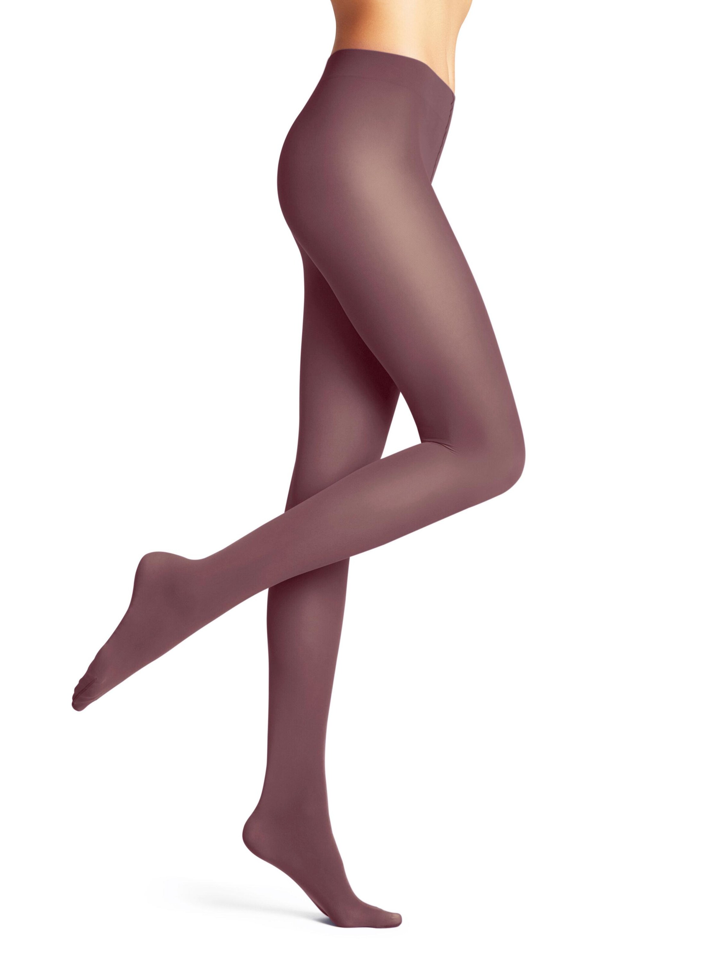 FALKE Strumpfhose 'Pure Matt'‌‌‌‌‌‌‌‌‌ in Braun