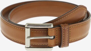 COACH Belt in One size in Brown: front