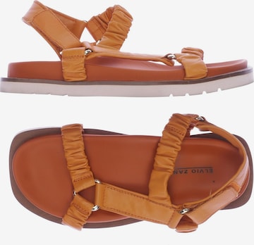 Elvio Zanon Sandals & High-Heeled Sandals in 40 in Orange: front