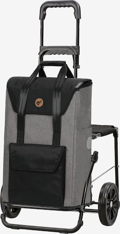 Cabas 'Senta 2.0' Andersen Shopper en gris : devant