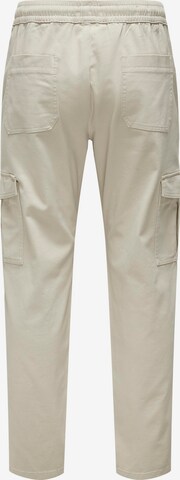 Regular Pantalon cargo 'LUC' Only & Sons en gris