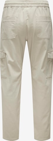 Only & Sons Regular Cargo Pants 'LUC' in Grey