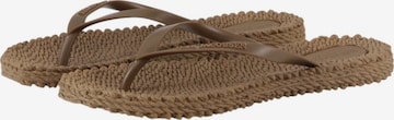 ILSE JACOBSEN Sandals 'Cheerful 02' in Brown: front