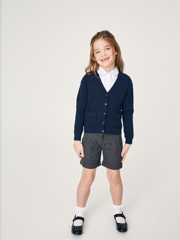 Next Gebreid vest in Blauw