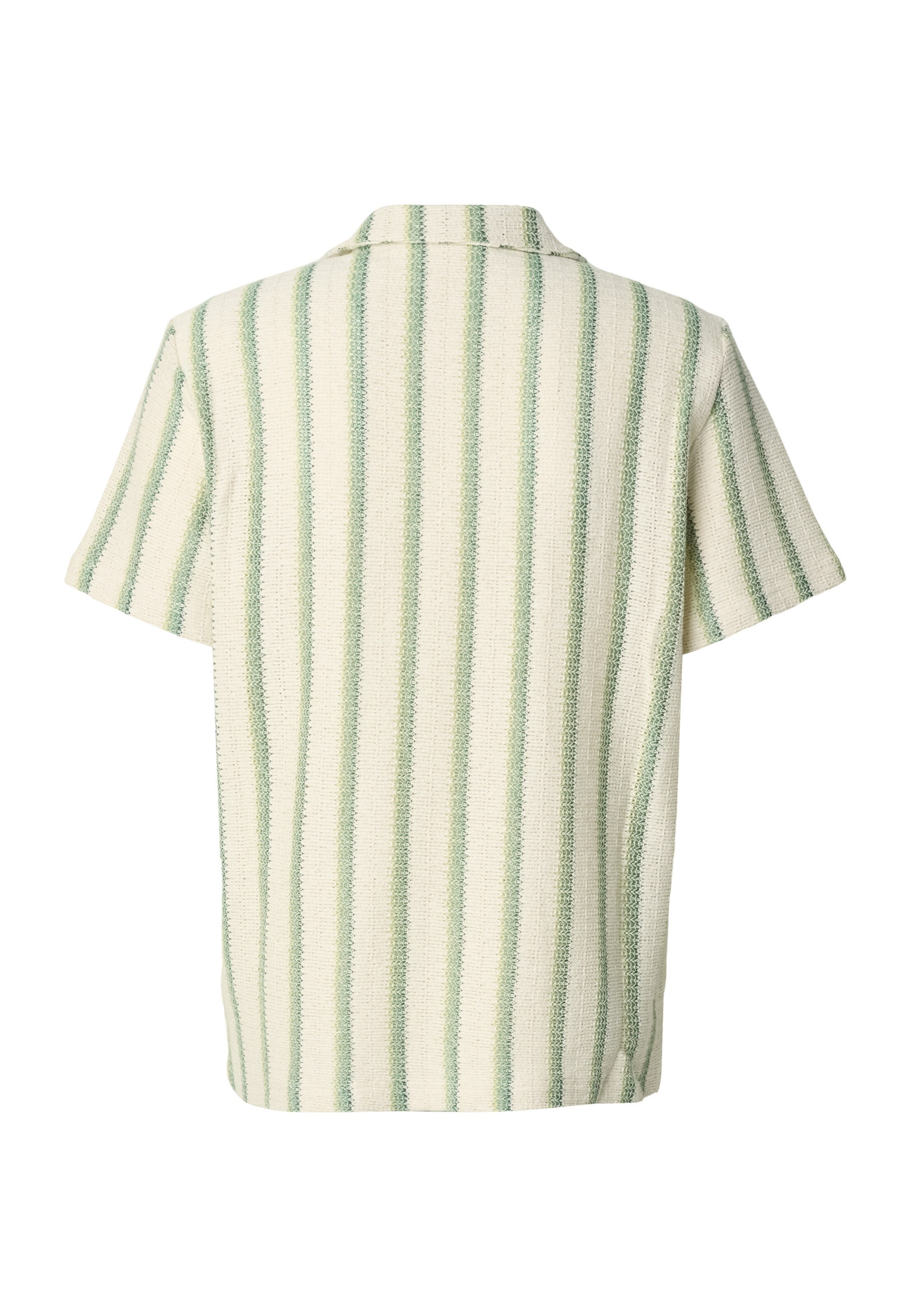 INDICODE JEANS Regular fit Button Up Shirt 'INGlutamin' in Green