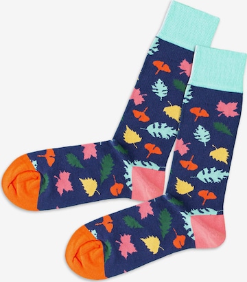 DillySocks Socken in Mischfarben: front