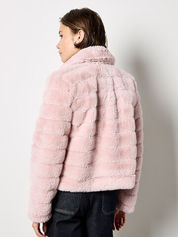 Apricot Panel Short Jacket ' ' in Pink