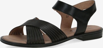 CAPRICE Strap Sandals in Black: front