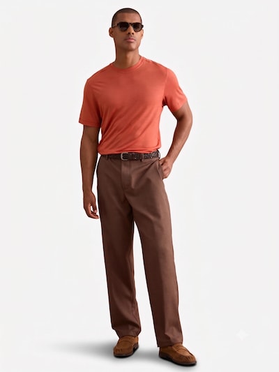 Il Lanificio Pantalón en 46 en marrón, Vista del producto