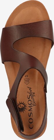 COSMOS COMFORT Strap Sandals in Brown