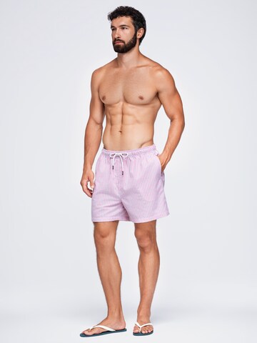 Ombre Regular Broek in Gemengde kleuren