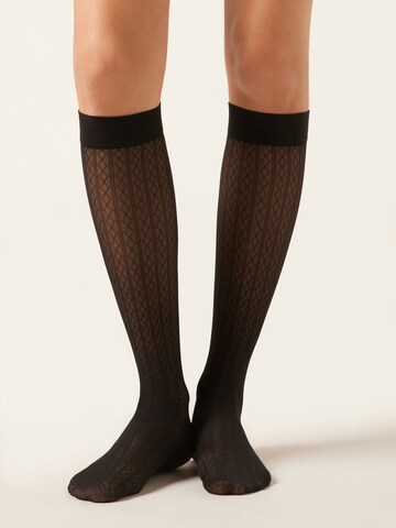 CALZEDONIA Socks in Black: front