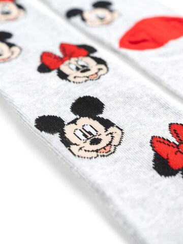 Disney Minnie Mouse Socks in Mixed colours