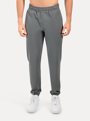 Regular Pantalon Smilodox en gris : devant