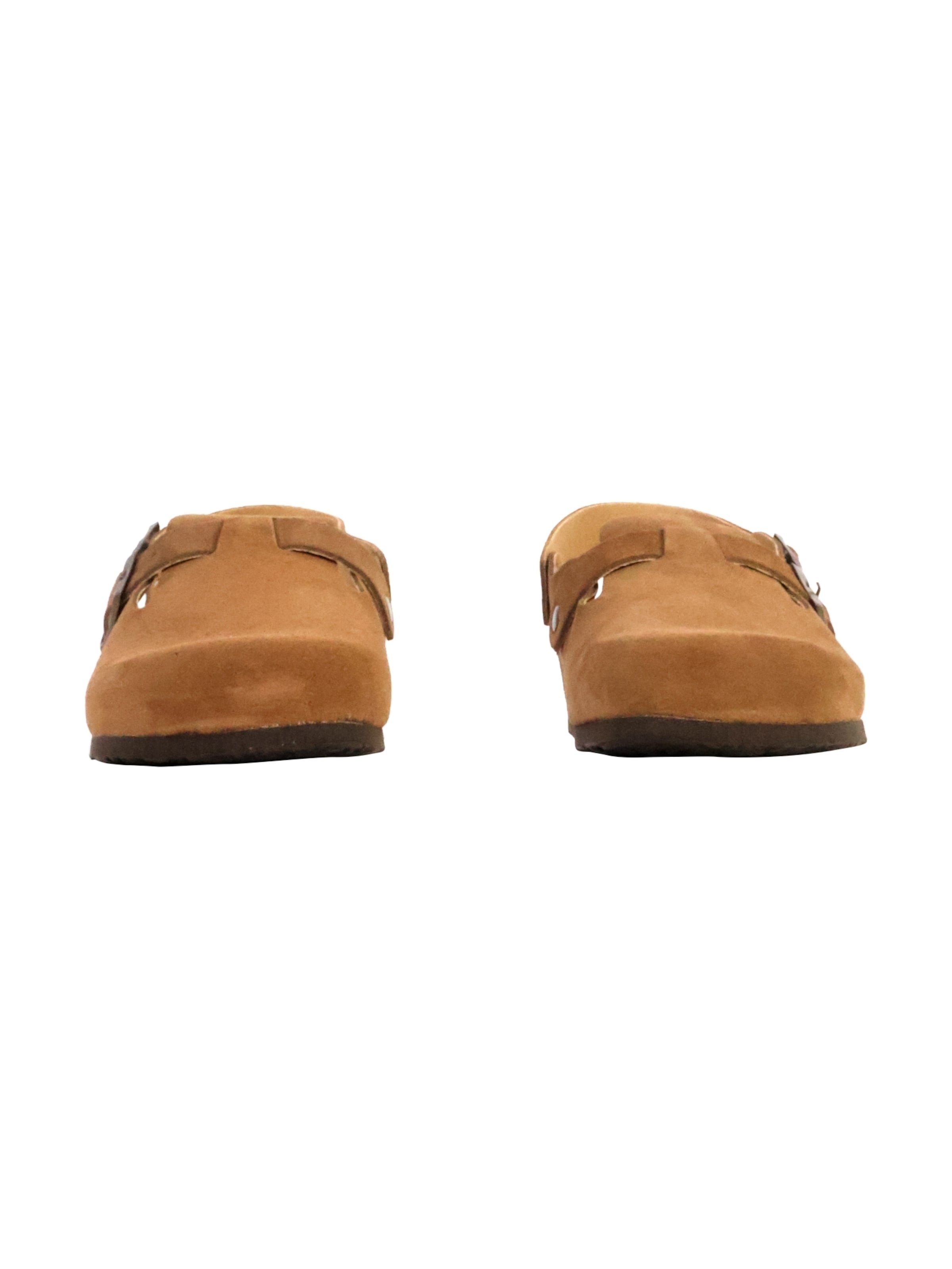 Zoccoletto di Plakton in marrone