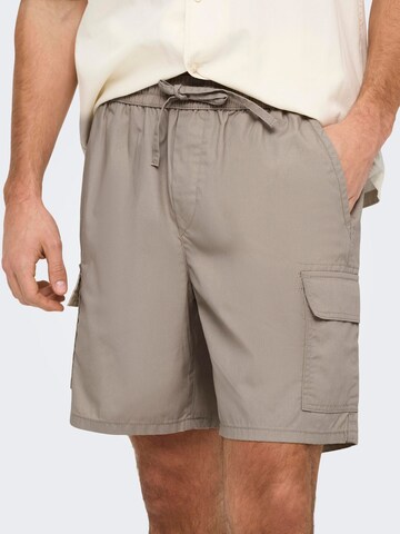 Only & Sons Regular Cargo trousers 'ONSKal' in Beige